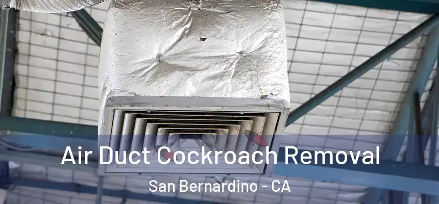  Air Duct Cockroach Removal San Bernardino - CA