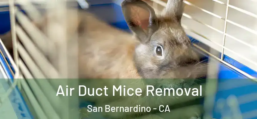  Air Duct Mice Removal San Bernardino - CA