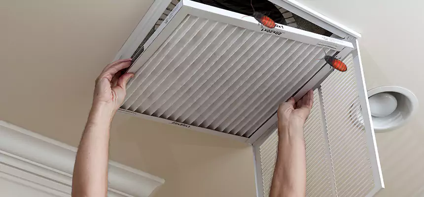 Preventive Cockroach-Proofing for Ducts in San Bernardino