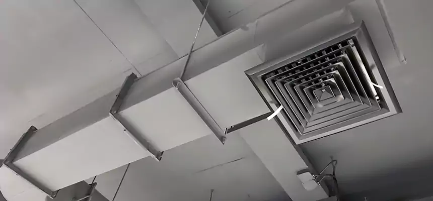 Our Pest Removal From Ducts Services in San Bernardino, CA