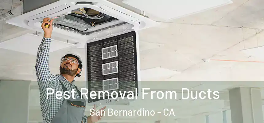  Pest Removal From Ducts San Bernardino - CA
