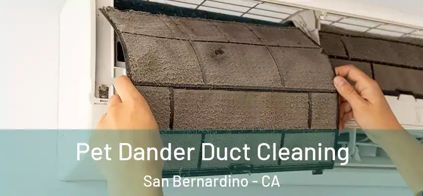  Pet Dander Duct Cleaning San Bernardino - CA