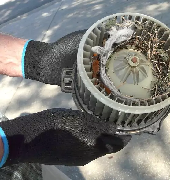 About Air Duct Mice Removal in San Bernardino, CA