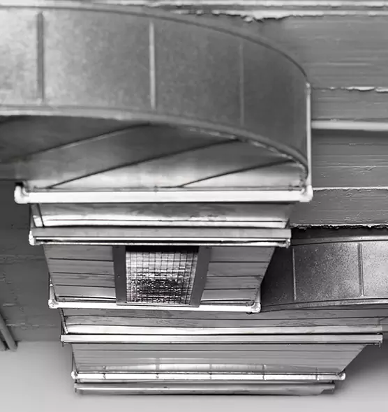 Professional Air Duct Pet Hair Removal in San Bernardino, CA