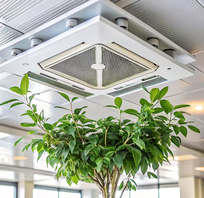 Why Homeowners & Businesses Trust Us in San Bernardino, CA?